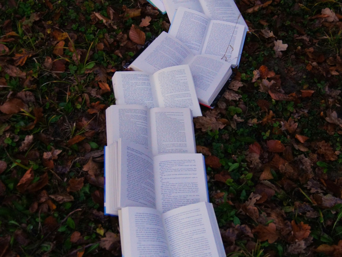 Storywriter, Daydreamer, Heartbreaker…